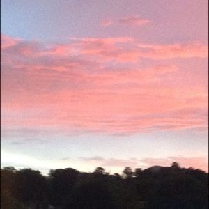 Meet your Posher, Naomi